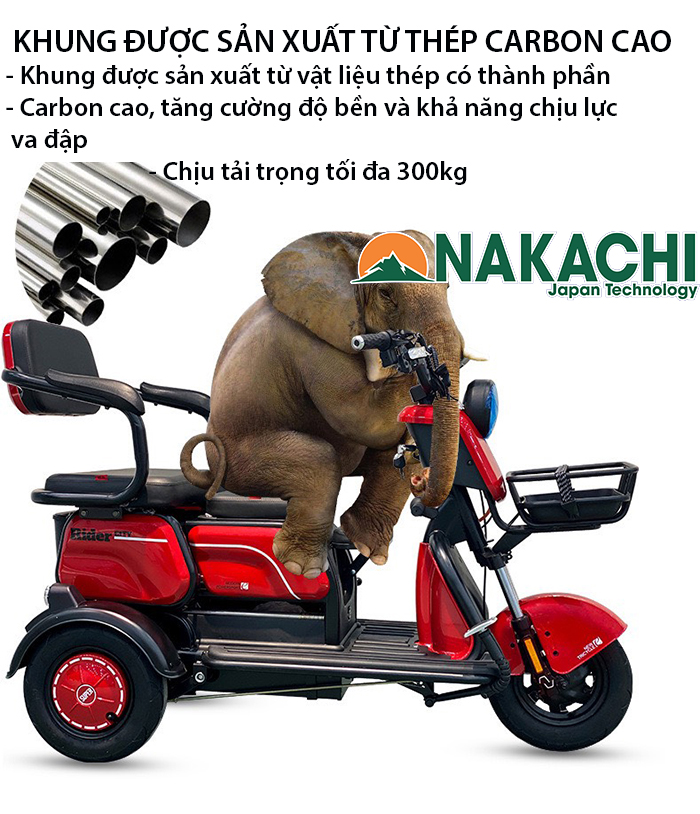 Xe điện 3 bánh